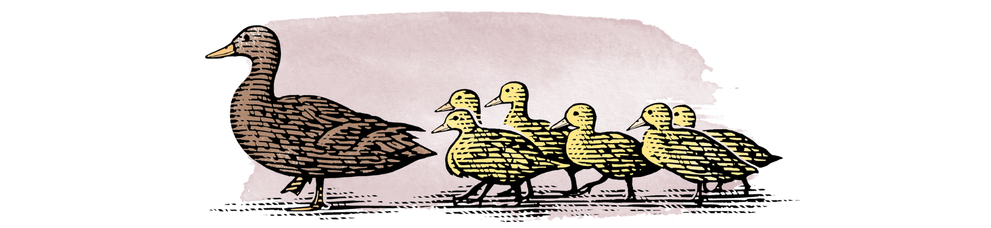Logo of duck and ducklings